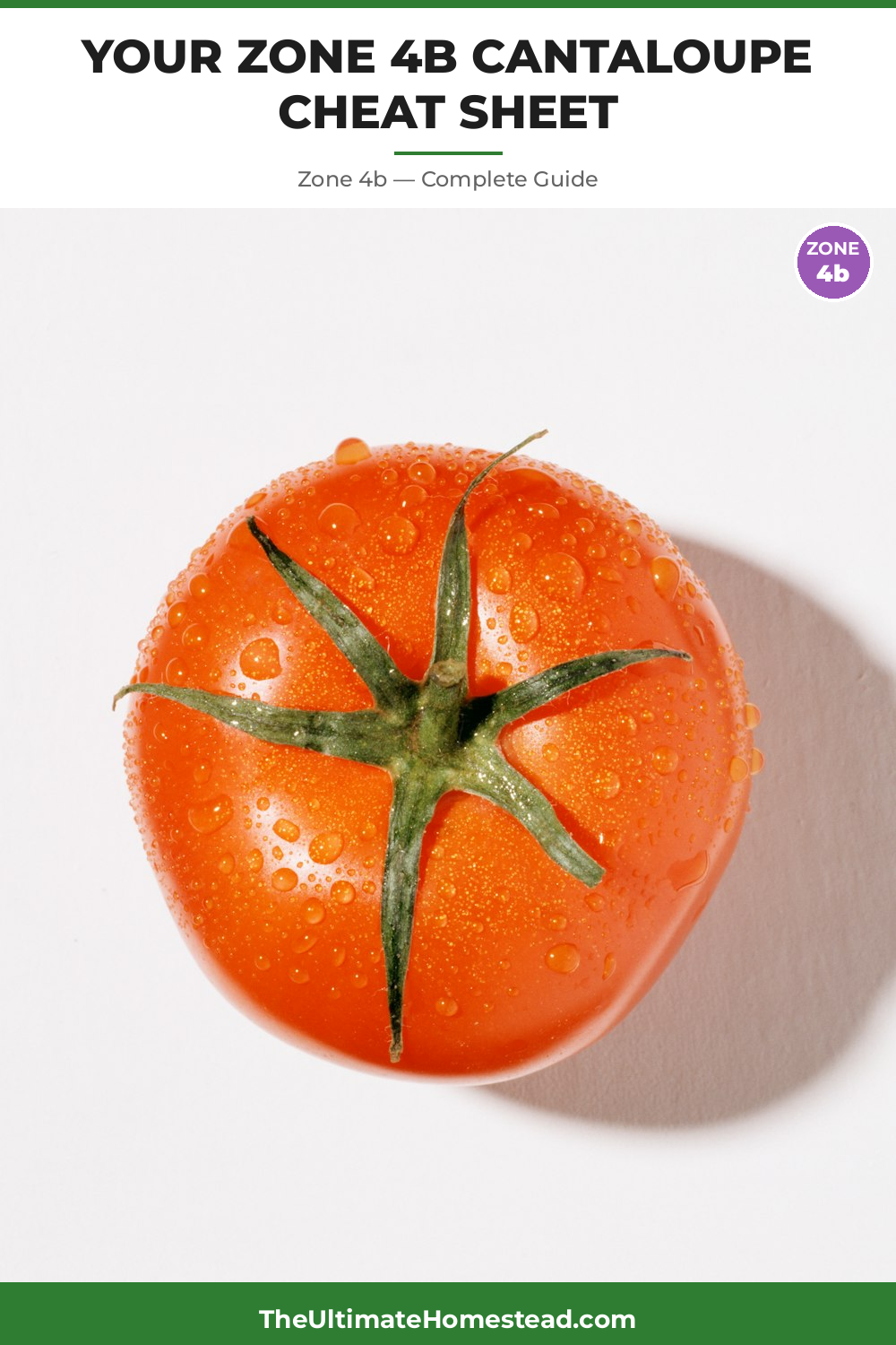 When to Plant Cantaloupe in Zone 4b