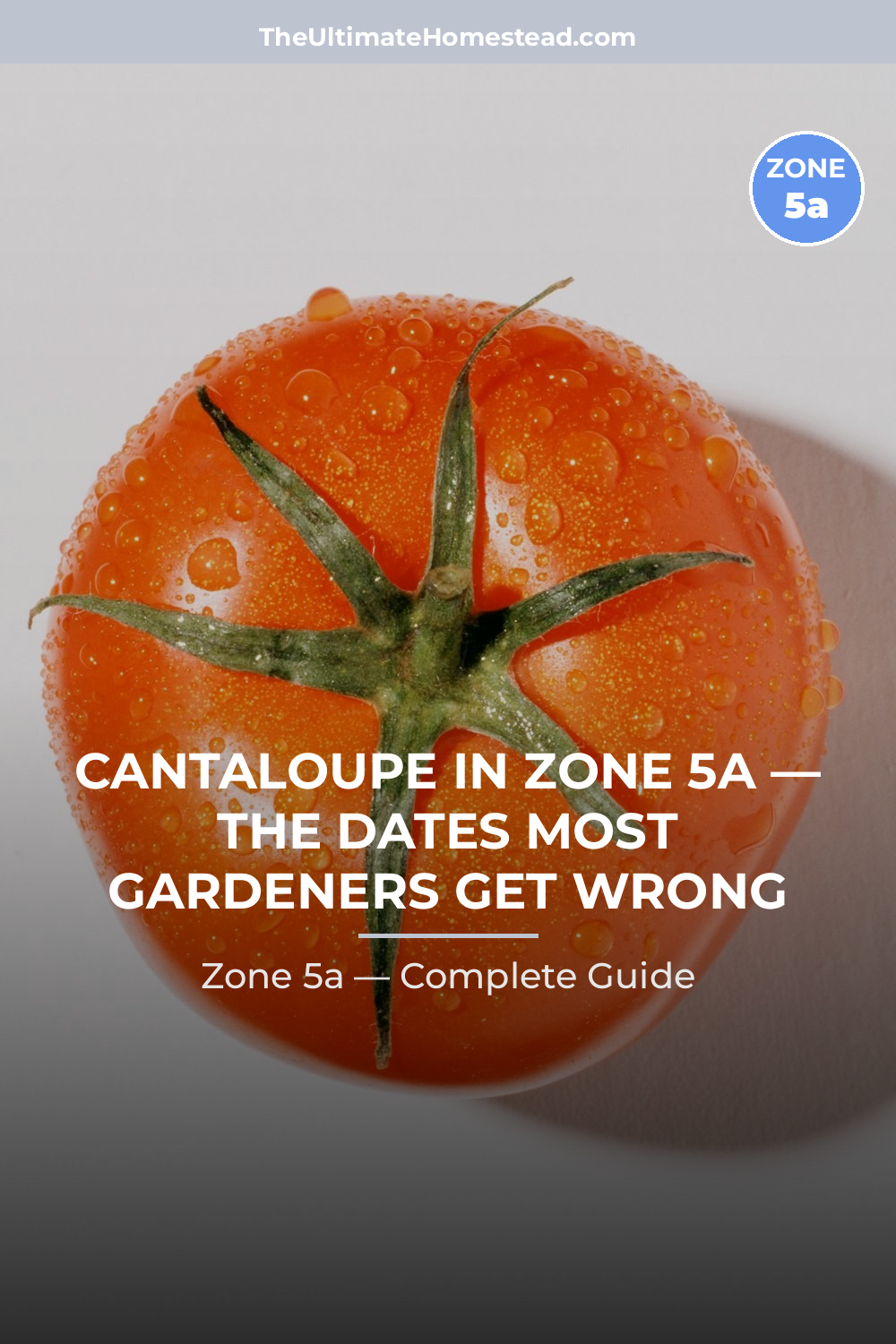 When to Plant Cantaloupe in Zone 5a