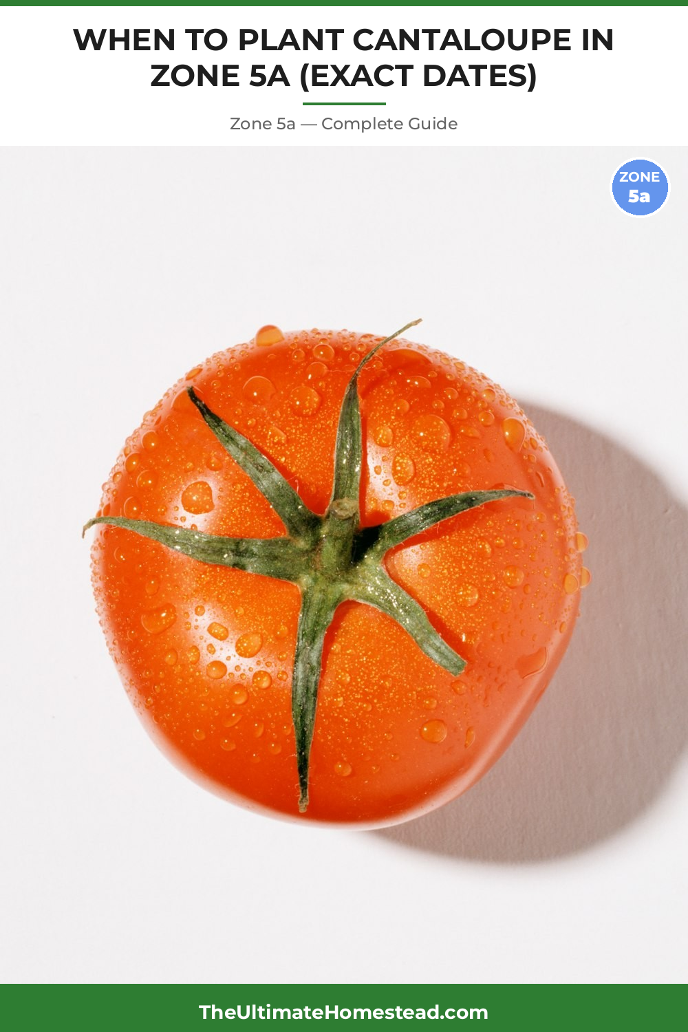 When to Plant Cantaloupe in Zone 5a