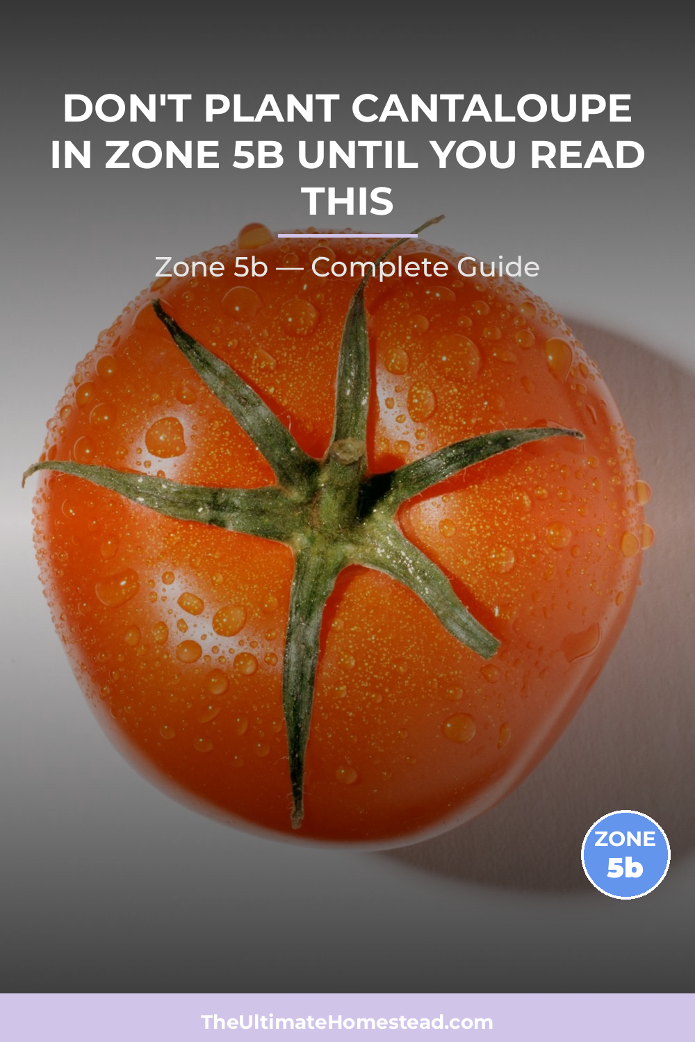 When to Plant Cantaloupe in Zone 5b