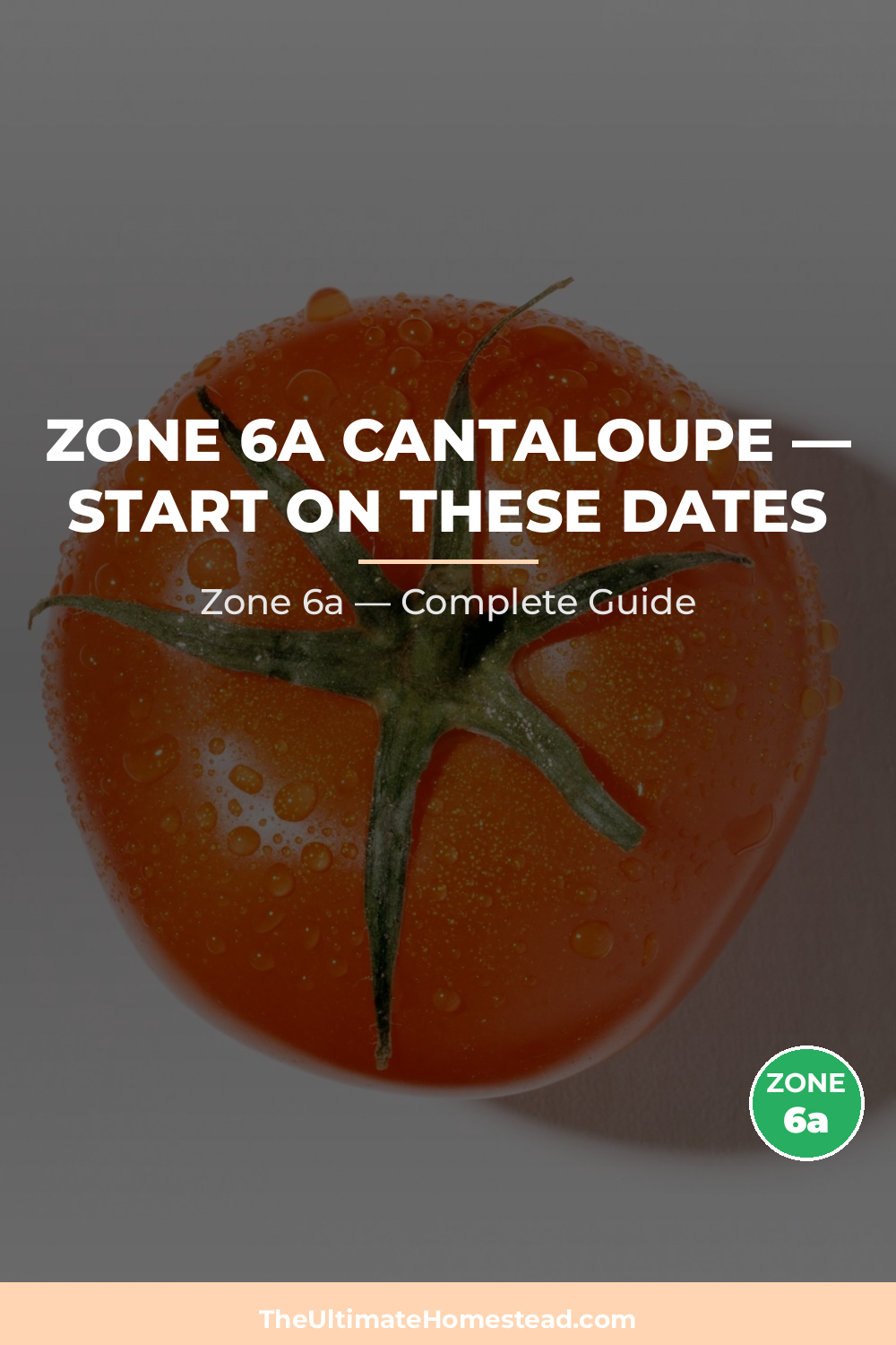 When to Plant Cantaloupe in Zone 6a