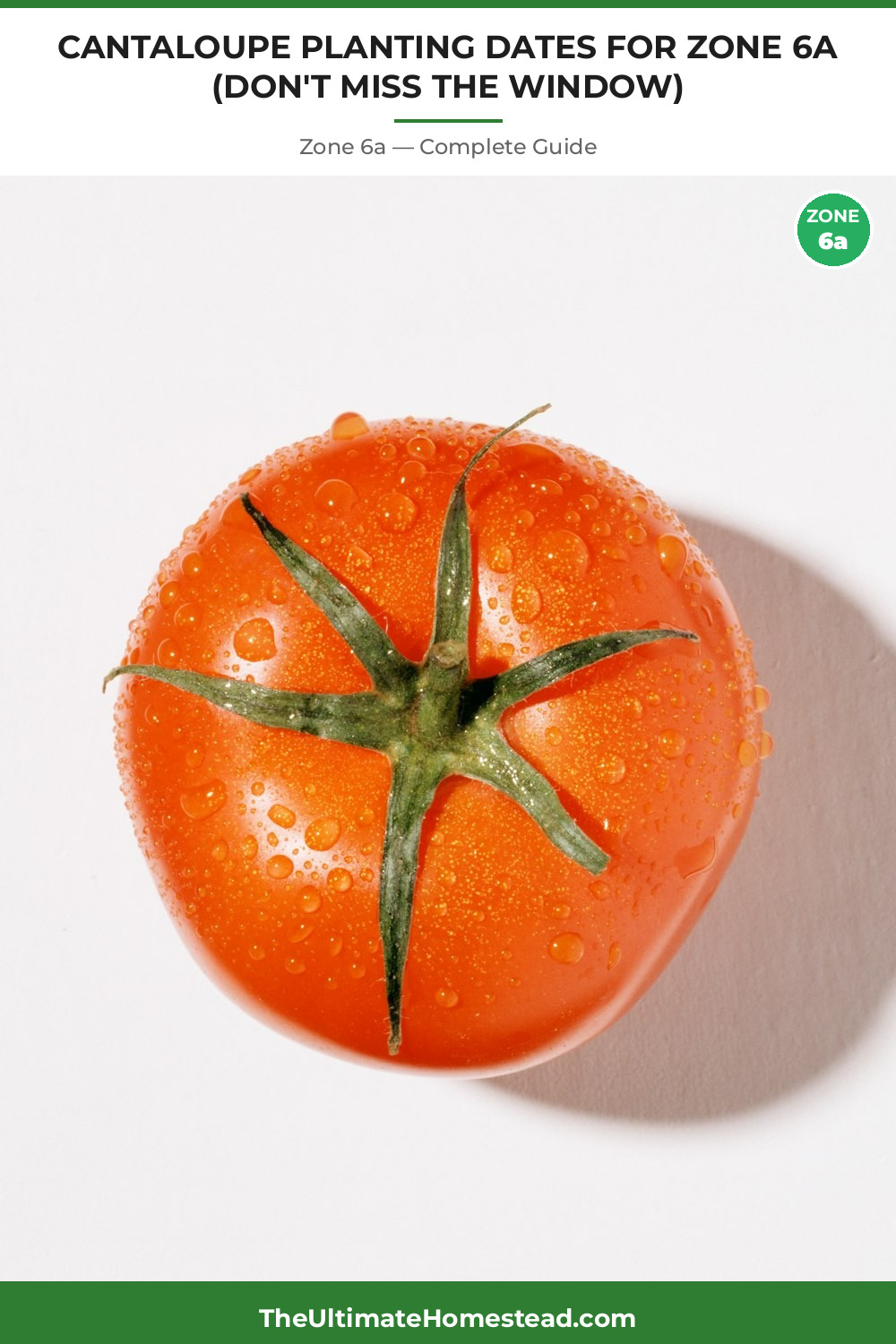 When to Plant Cantaloupe in Zone 6a