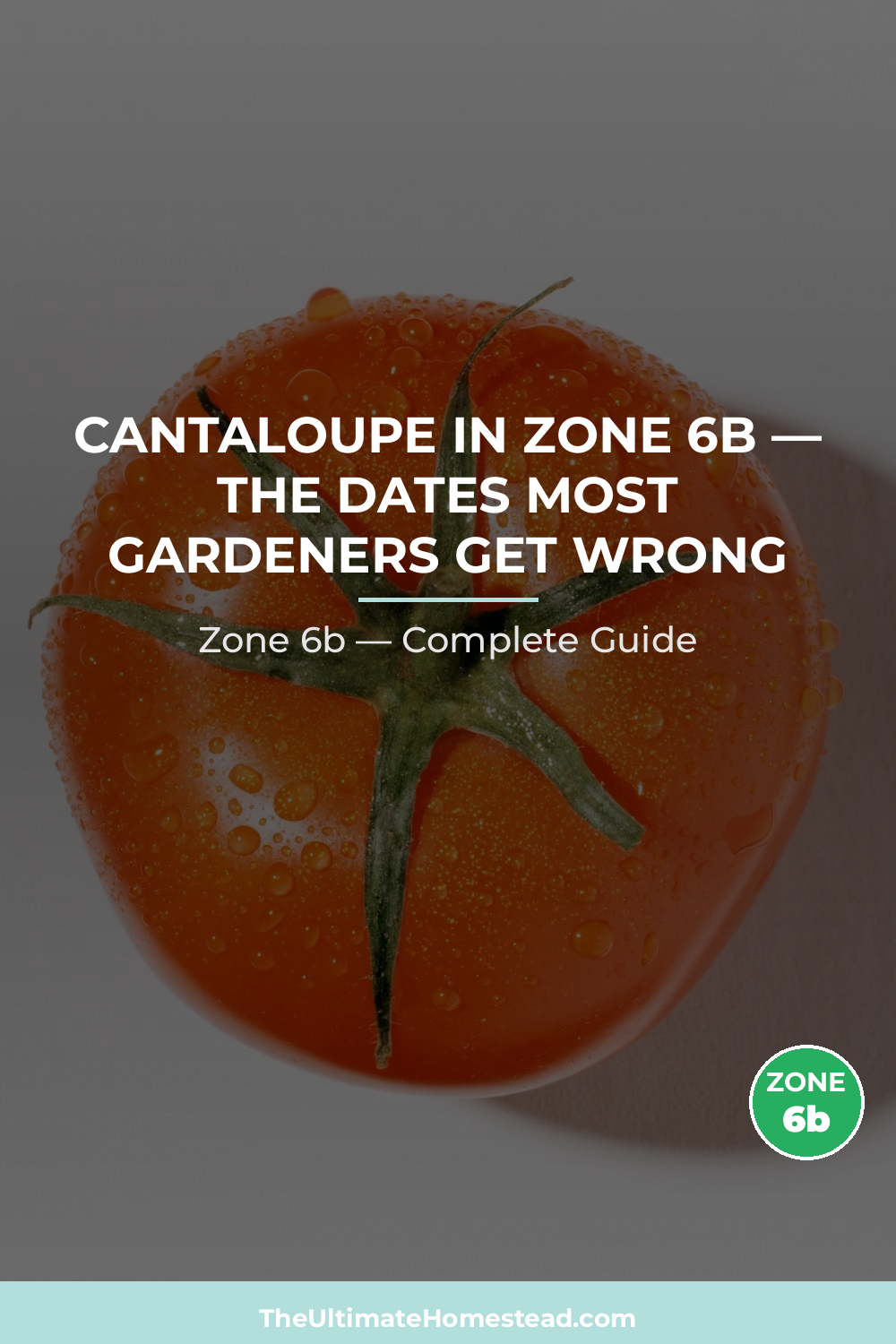 When to Plant Cantaloupe in Zone 6b
