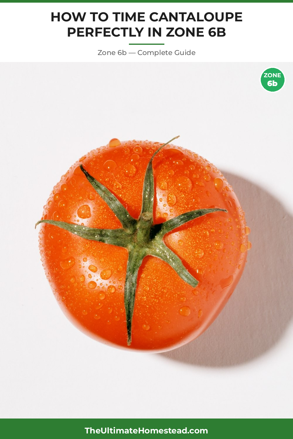 When to Plant Cantaloupe in Zone 6b