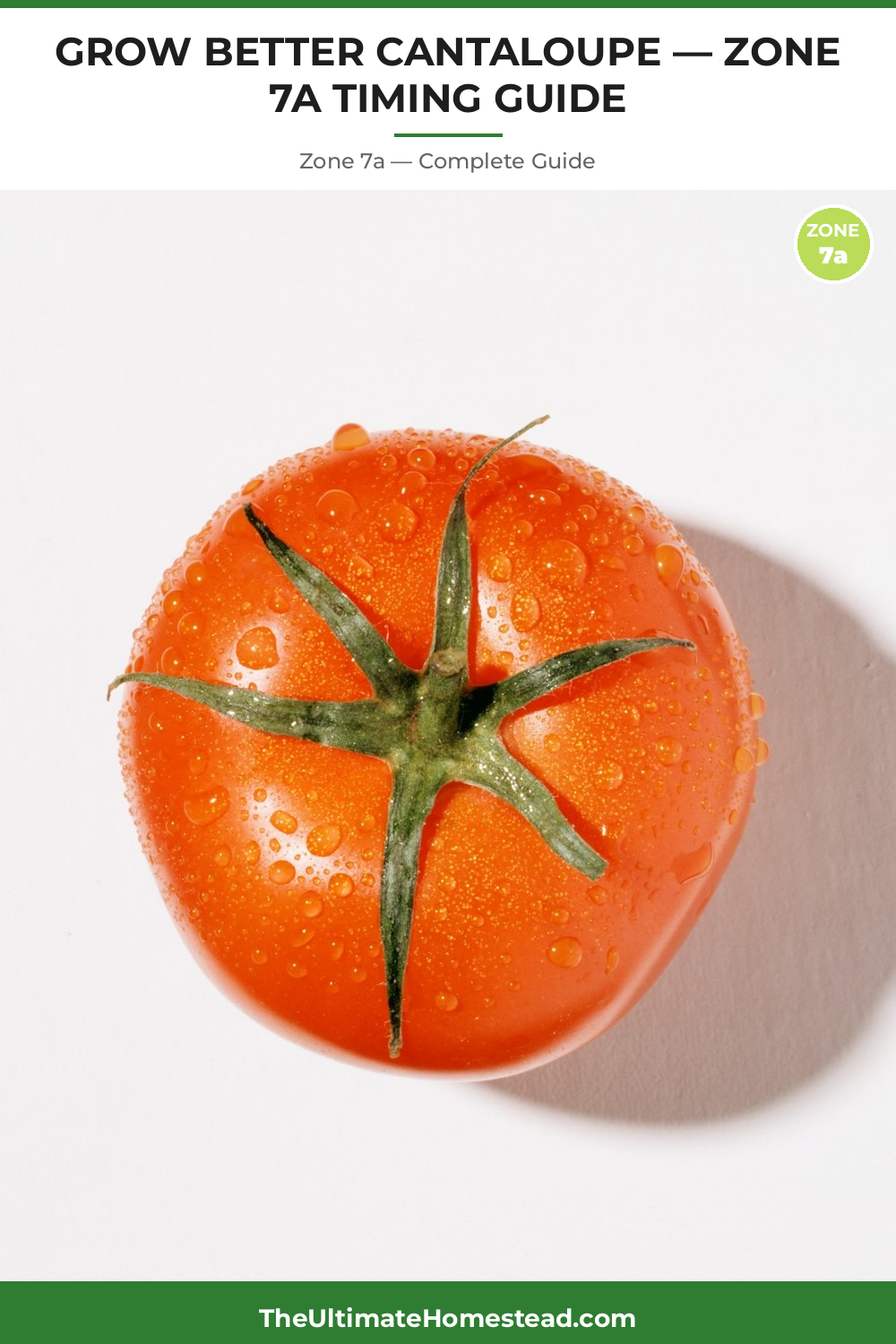 When to Plant Cantaloupe in Zone 7a