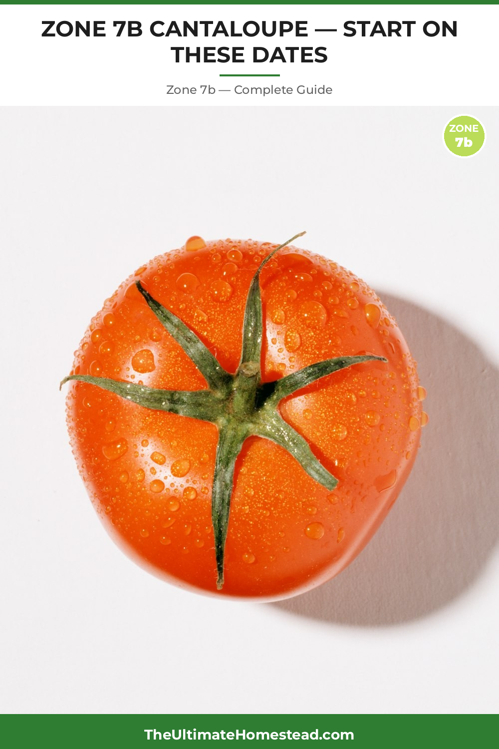 When to Plant Cantaloupe in Zone 7b