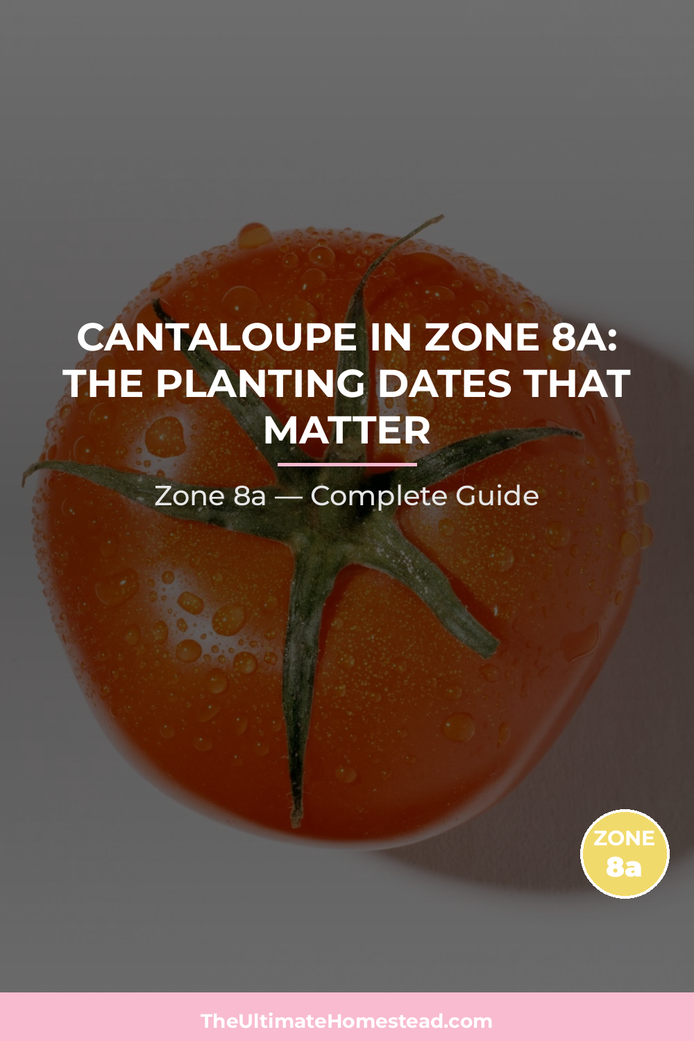When to Plant Cantaloupe in Zone 8a