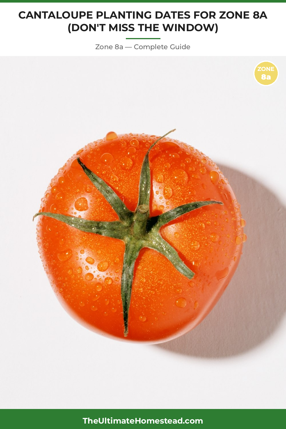 When to Plant Cantaloupe in Zone 8a