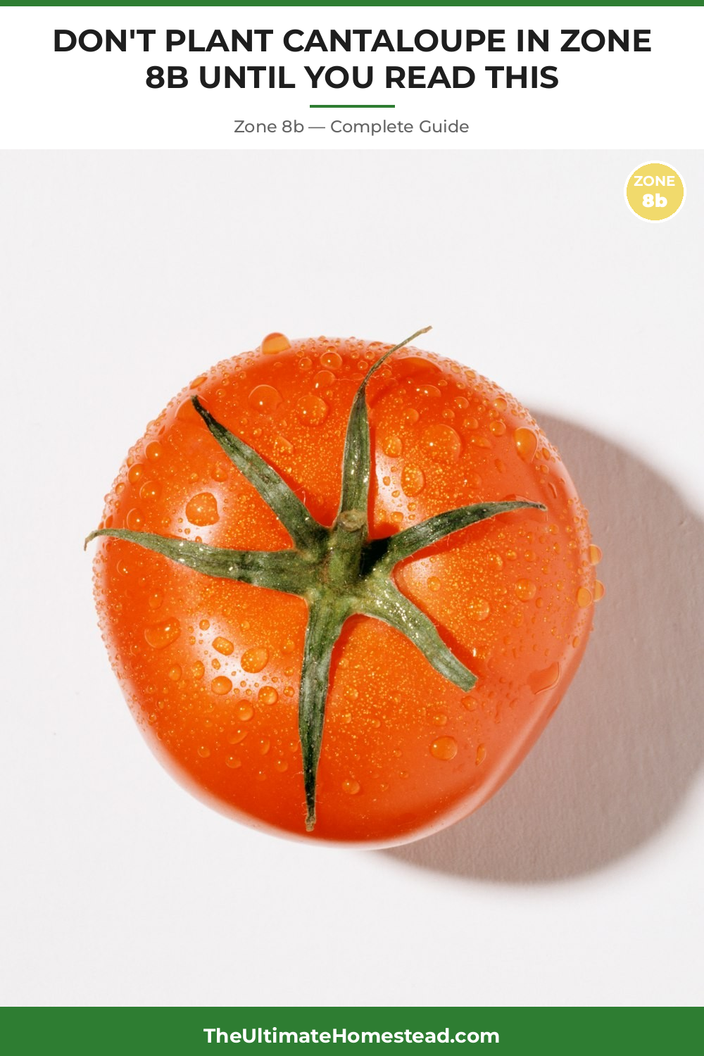 When to Plant Cantaloupe in Zone 8b