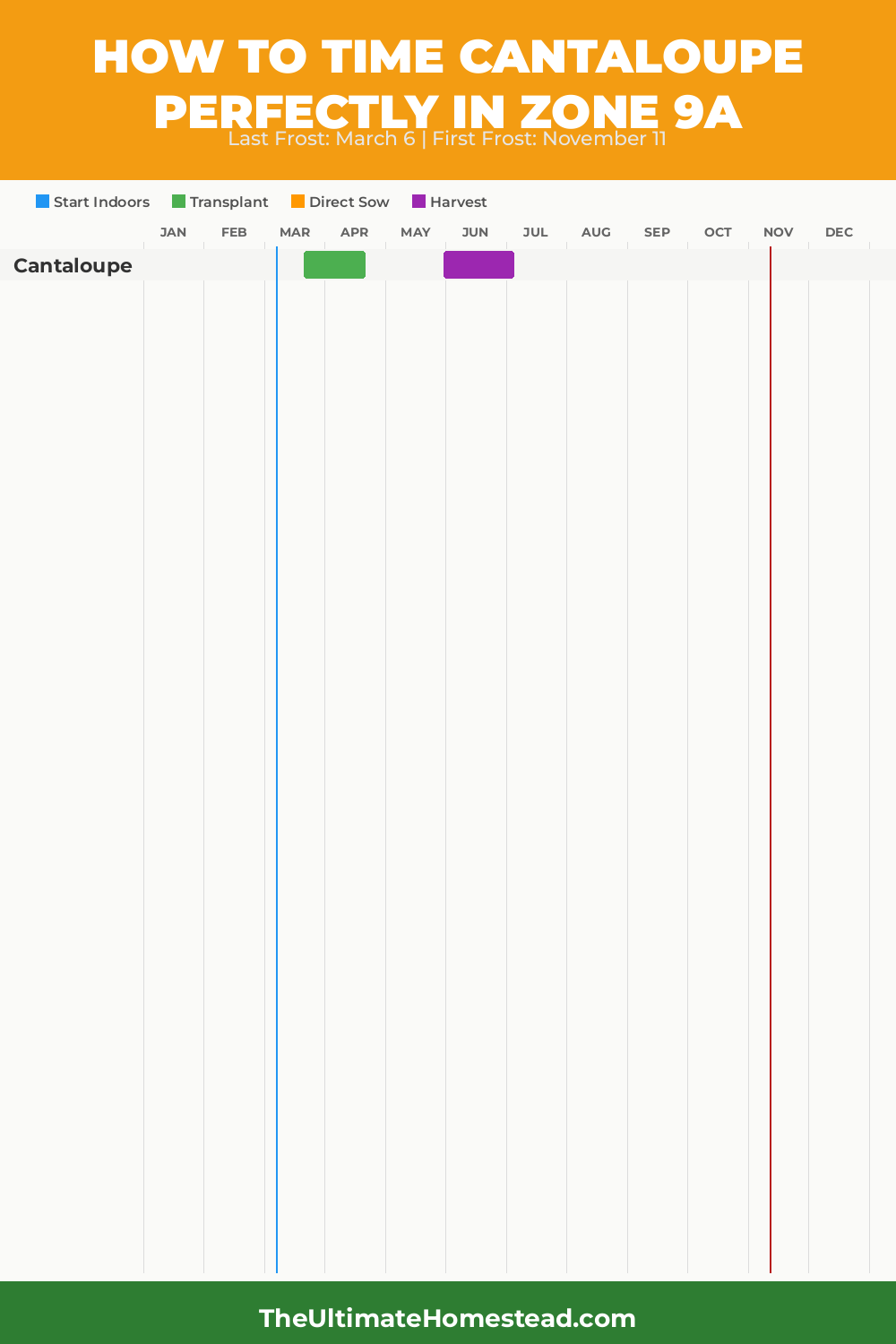 When to Plant Cantaloupe in Zone 9a