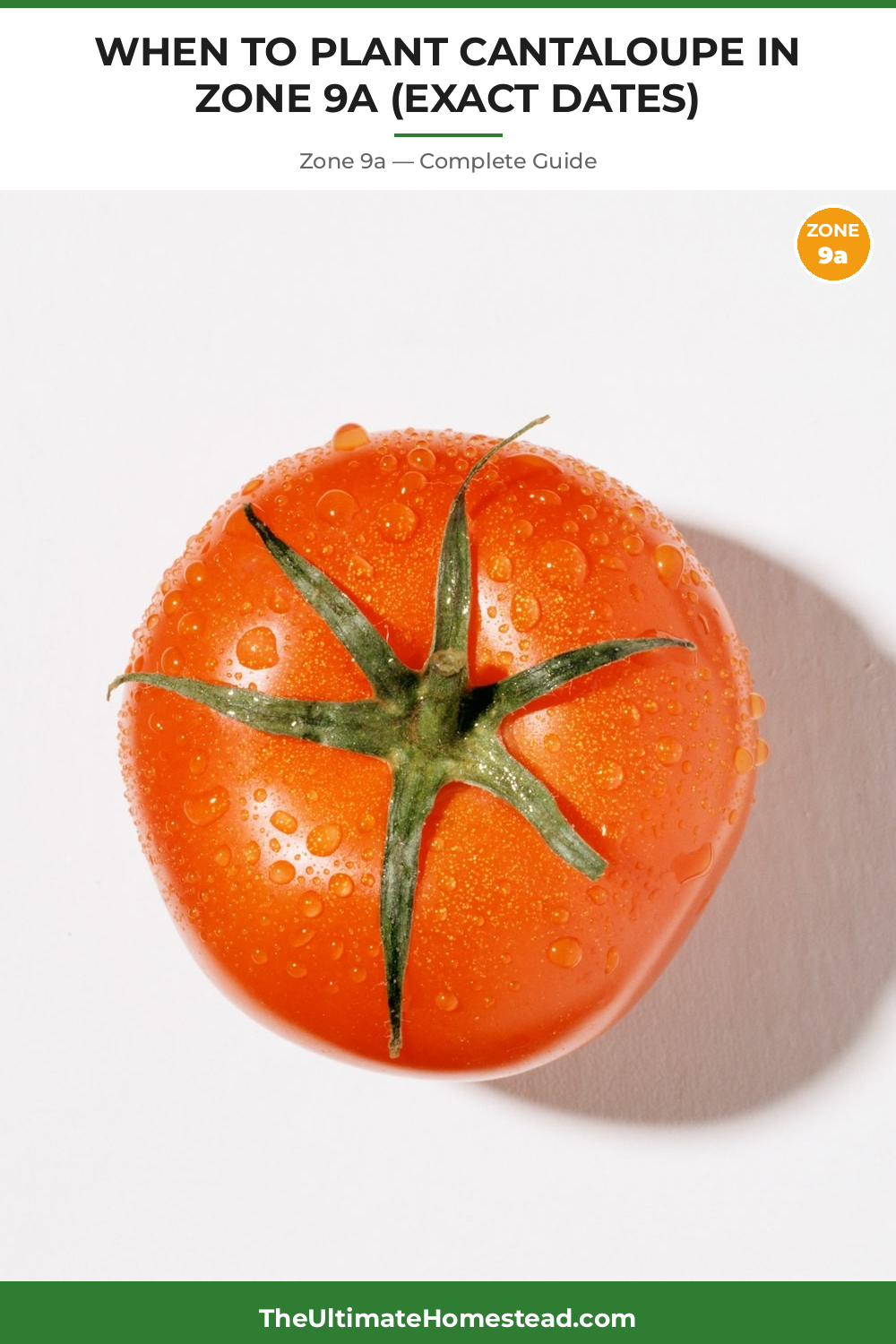 When to Plant Cantaloupe in Zone 9a