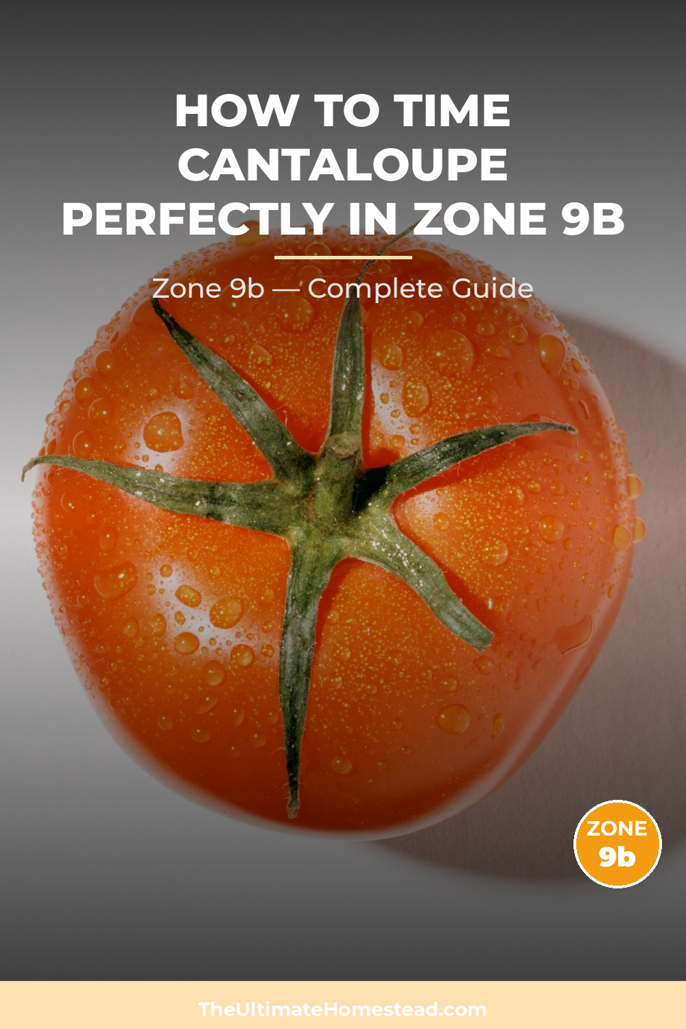 When to Plant Cantaloupe in Zone 9b