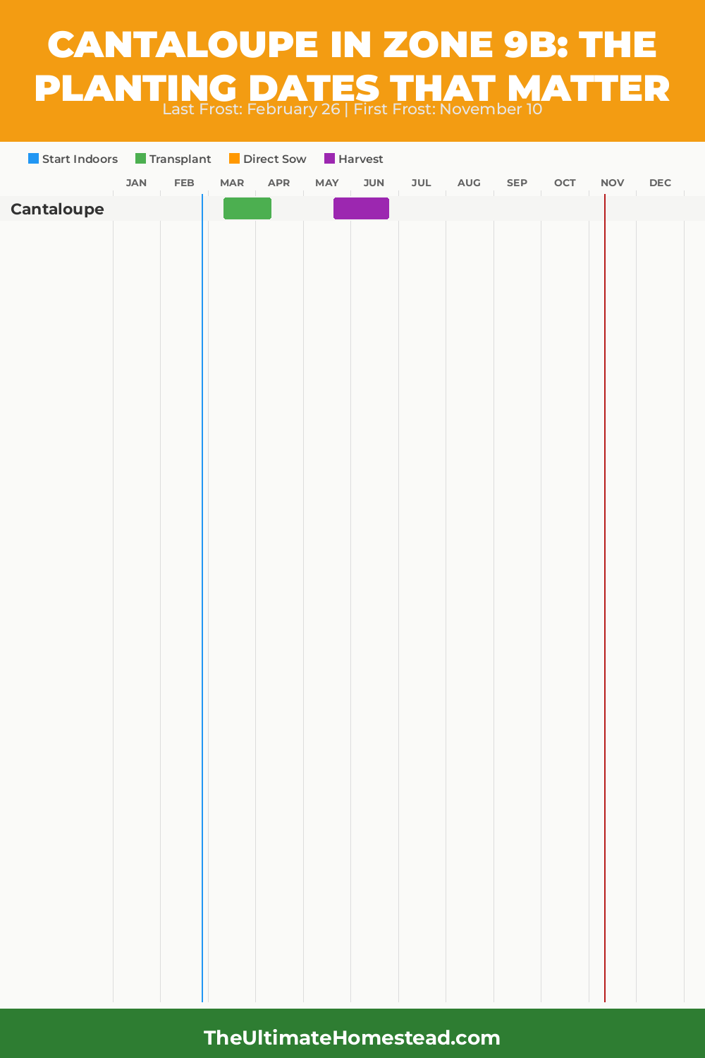 When to Plant Cantaloupe in Zone 9b