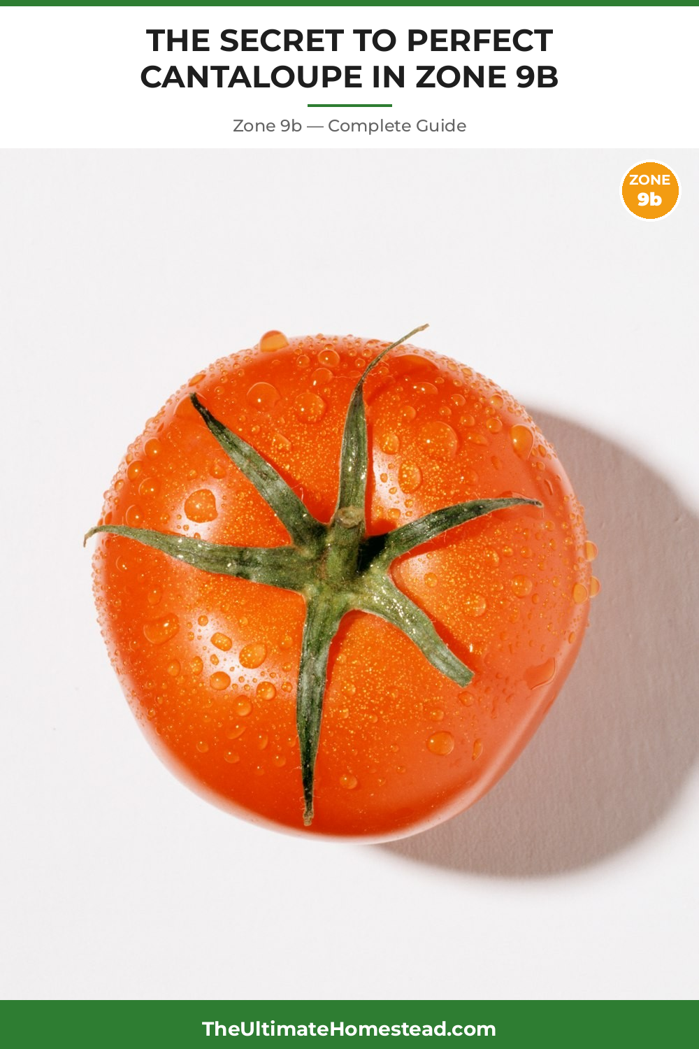 When to Plant Cantaloupe in Zone 9b