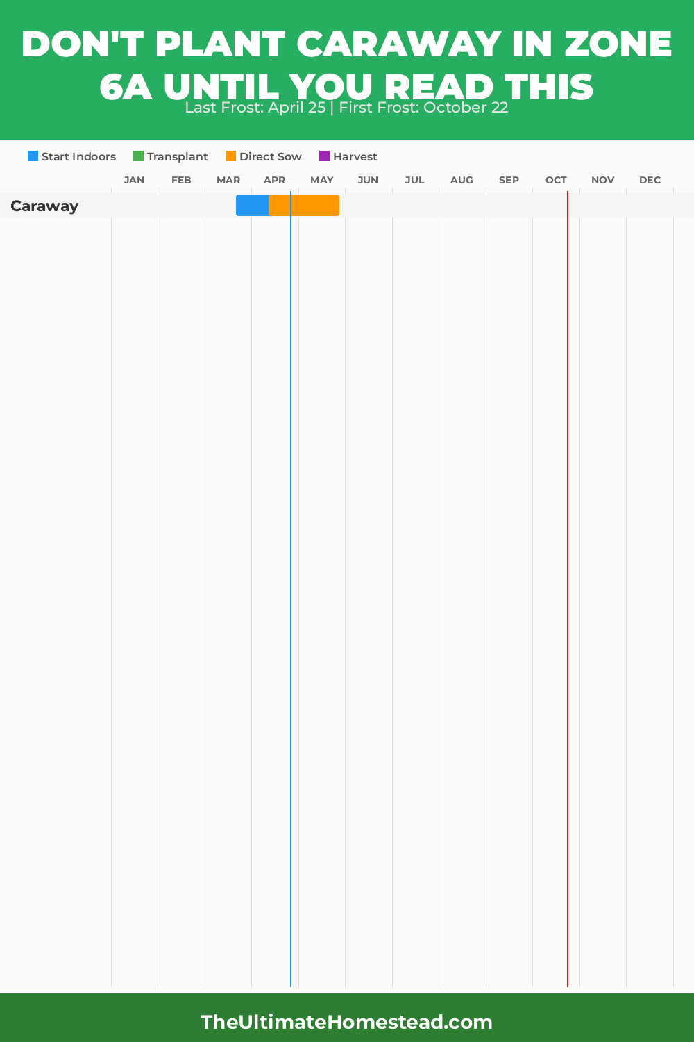 When to Plant Caraway in Zone 6a