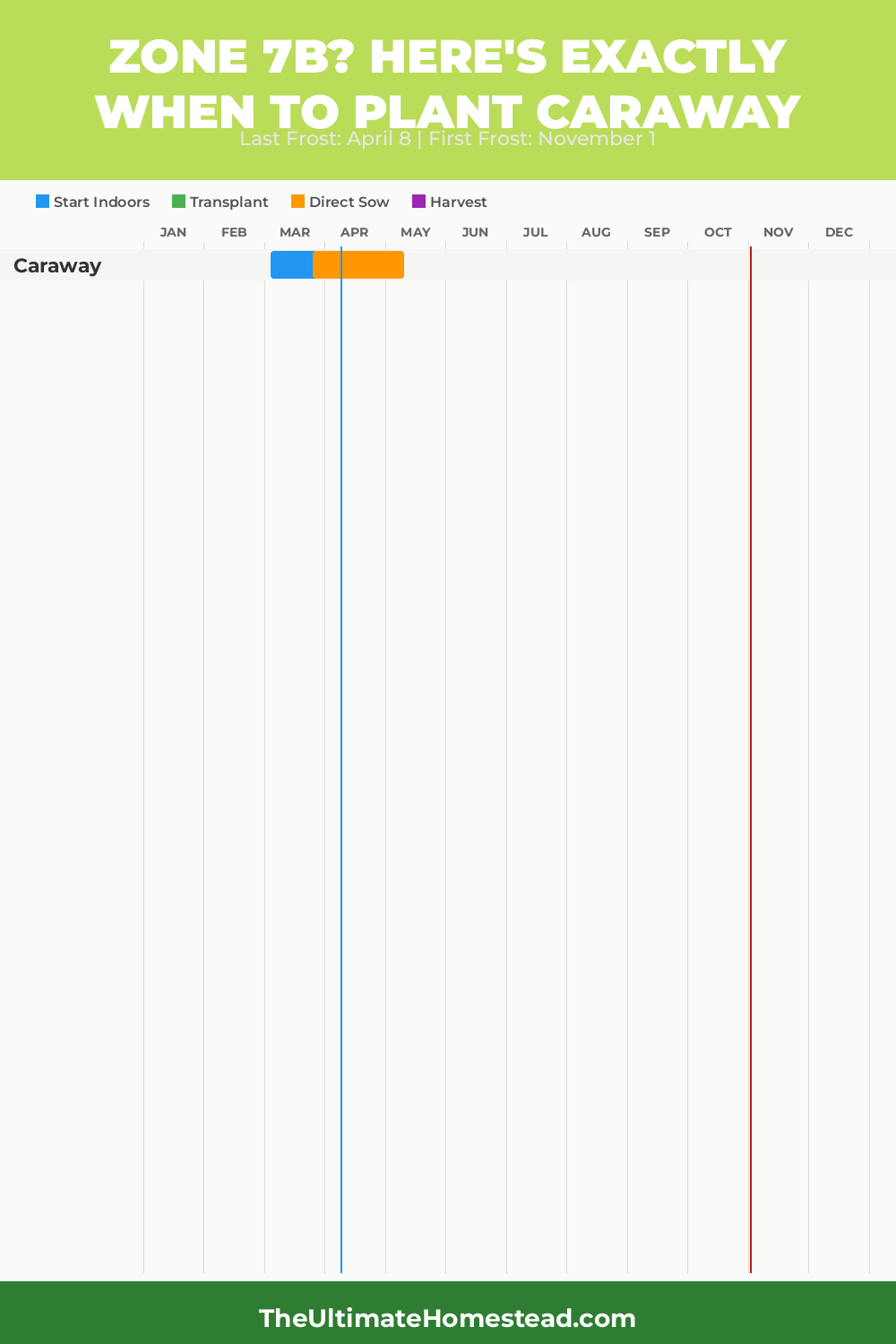 When to Plant Caraway in Zone 7b