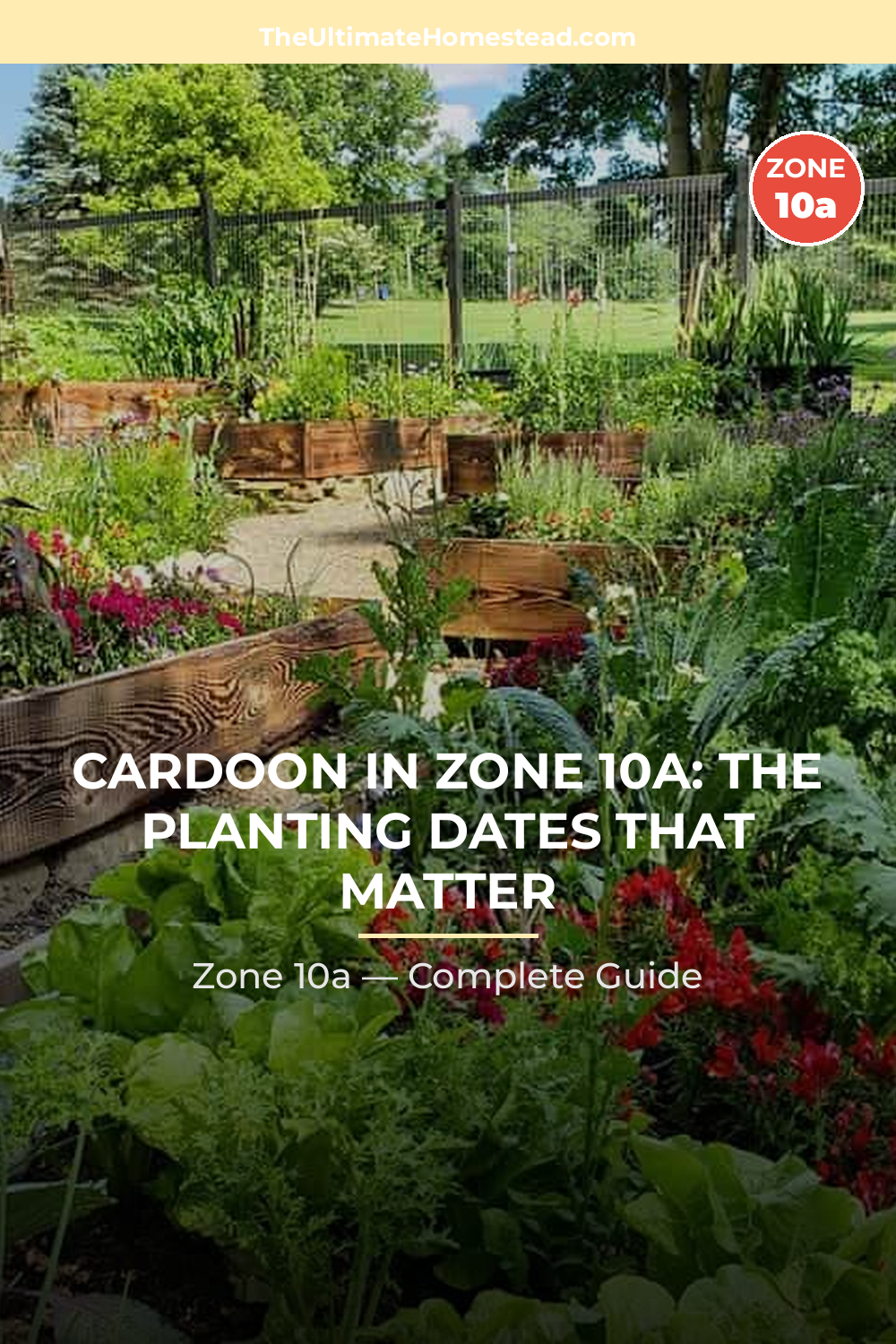 When to Plant Cardoon in Zone 10a