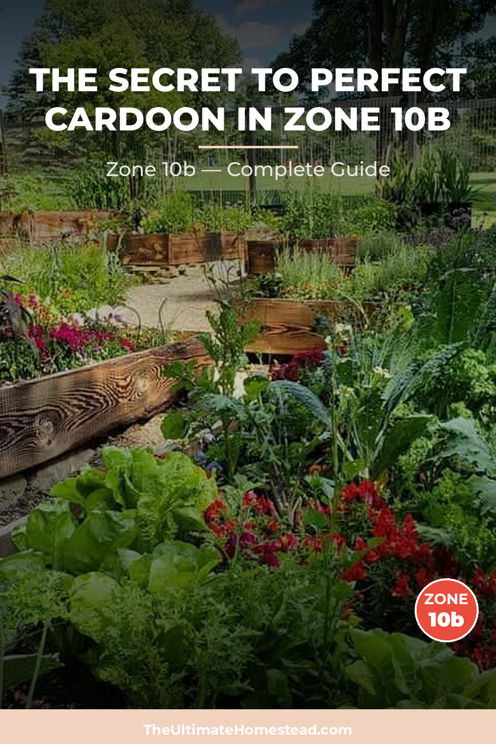 When to Plant Cardoon in Zone 10b
