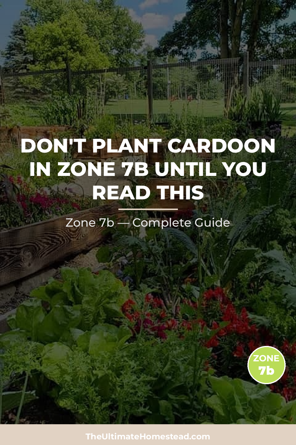 When to Plant Cardoon in Zone 7b