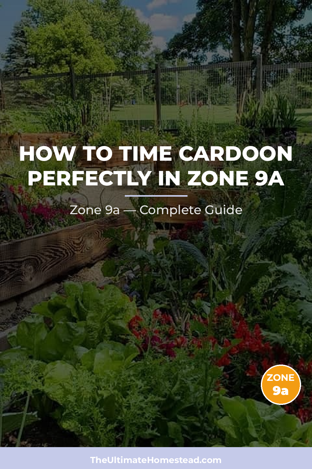 When to Plant Cardoon in Zone 9a