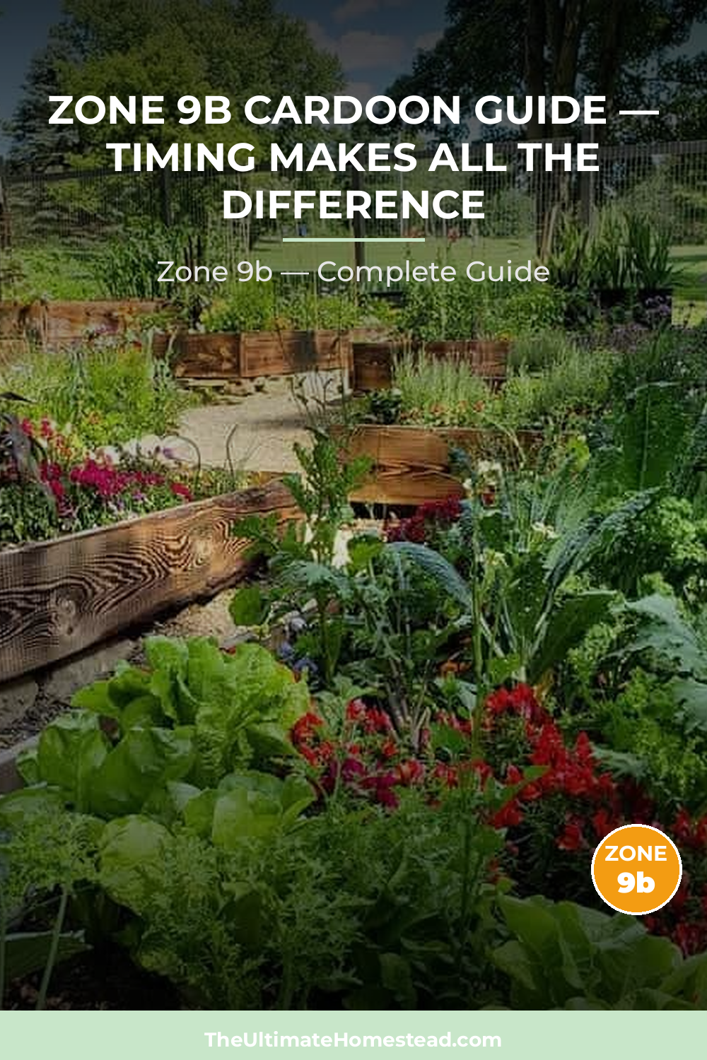 When to Plant Cardoon in Zone 9b