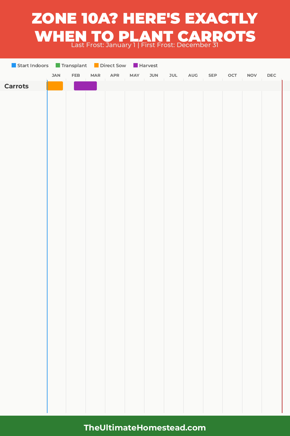 When to Plant Carrots in Zone 10a