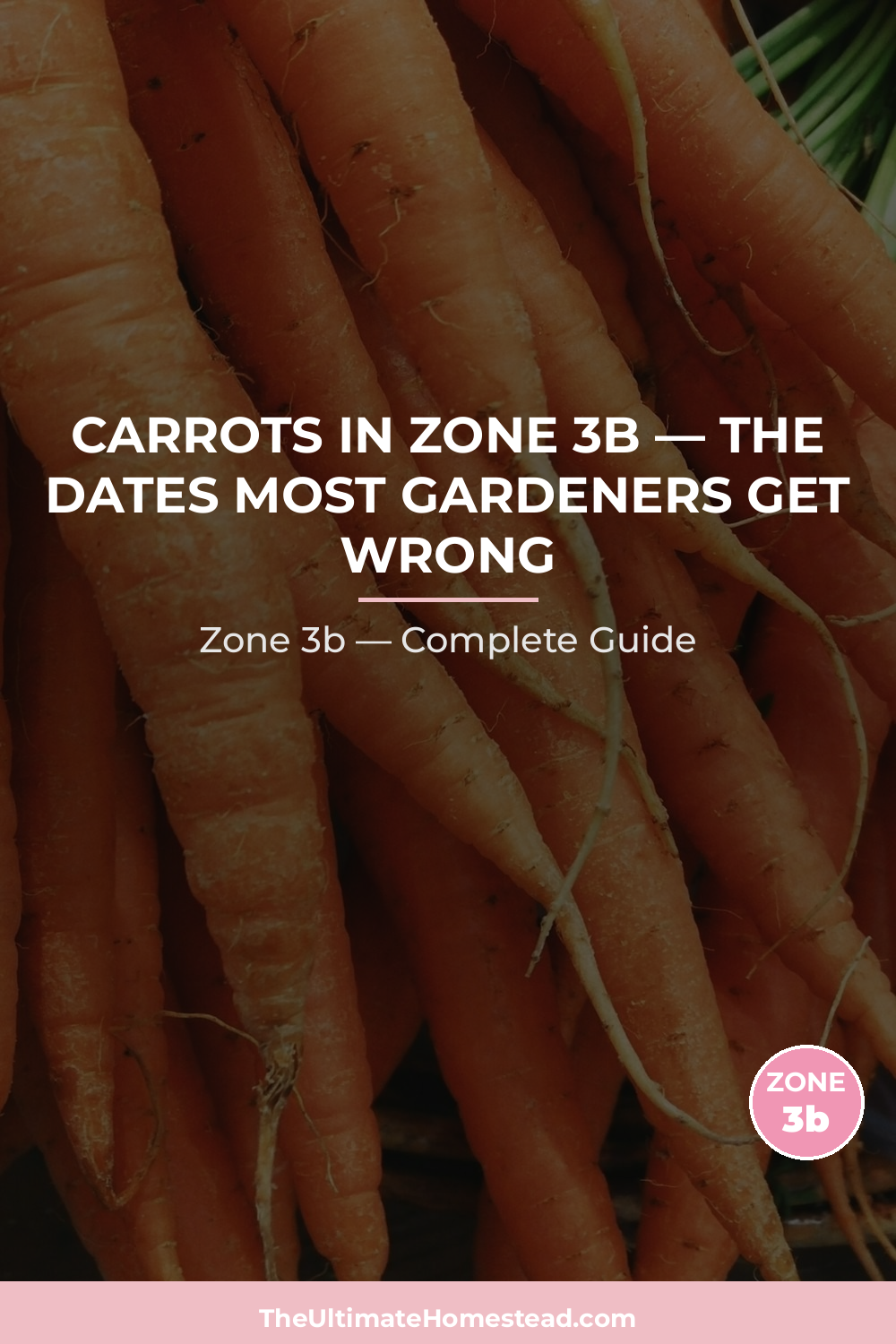When to Plant Carrots in Zone 3b