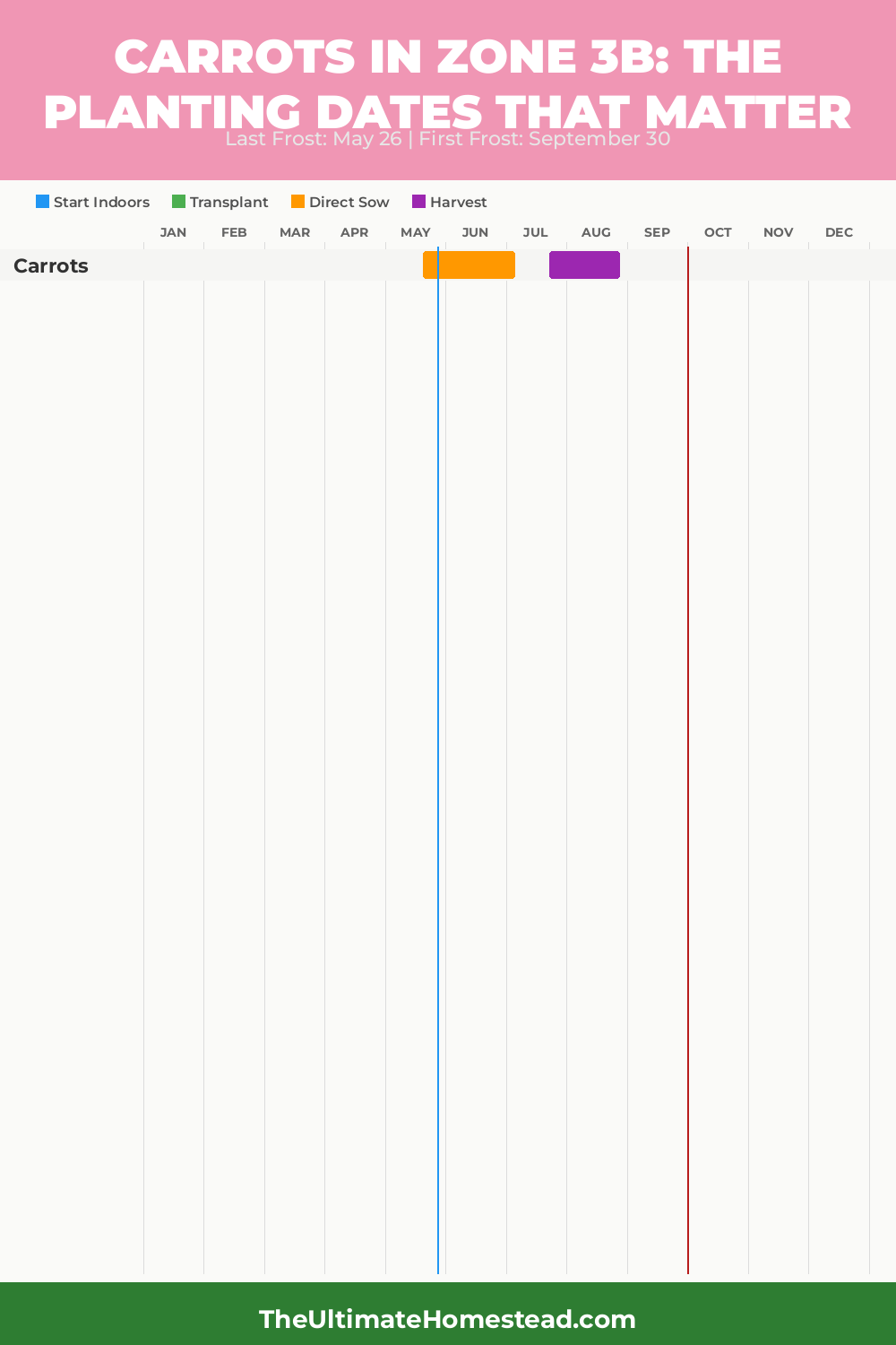 When to Plant Carrots in Zone 3b