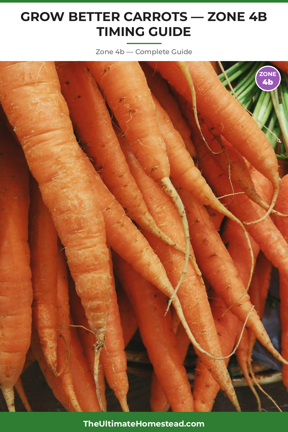 When to Plant Carrots in Zone 4b