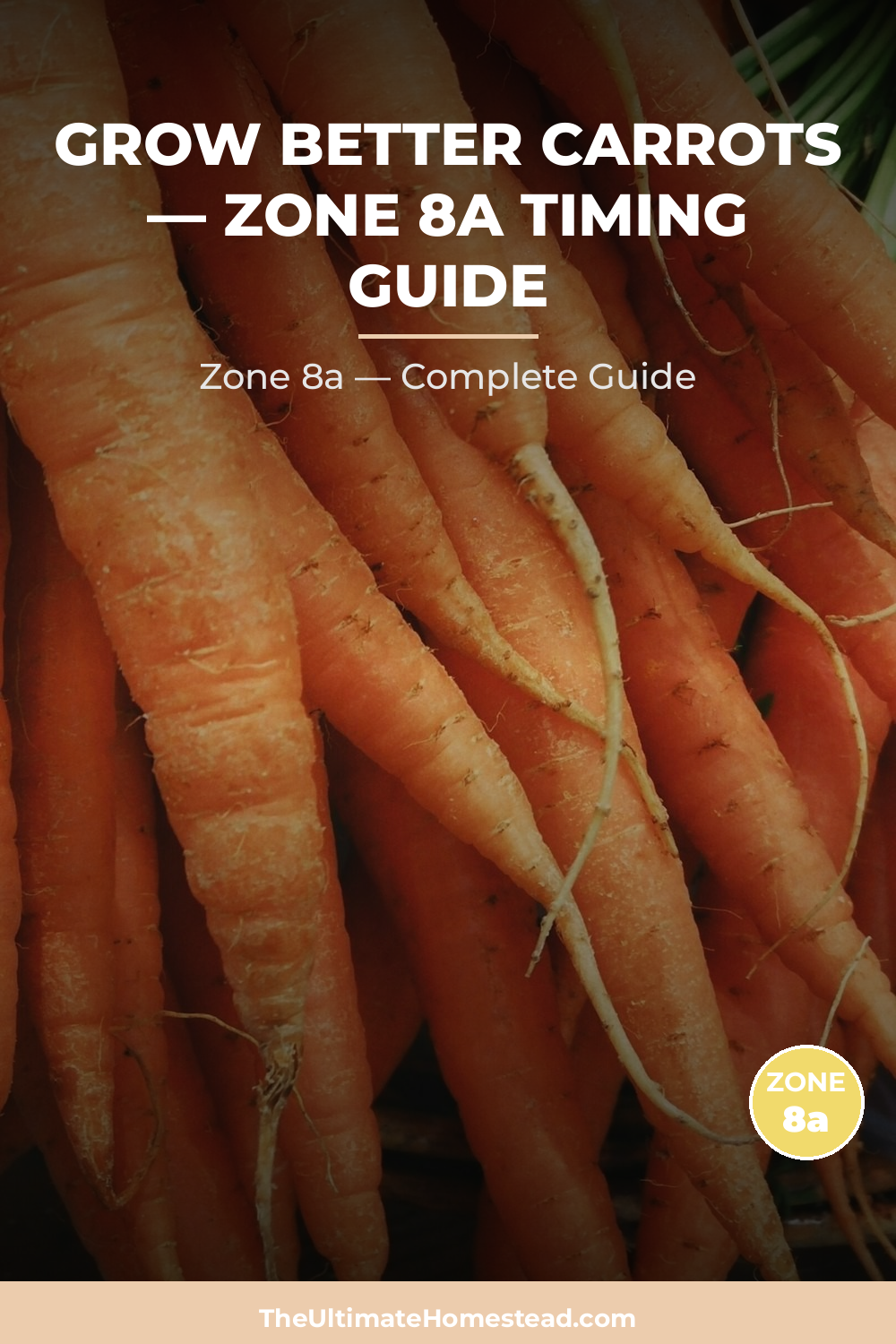 When to Plant Carrots in Zone 8a