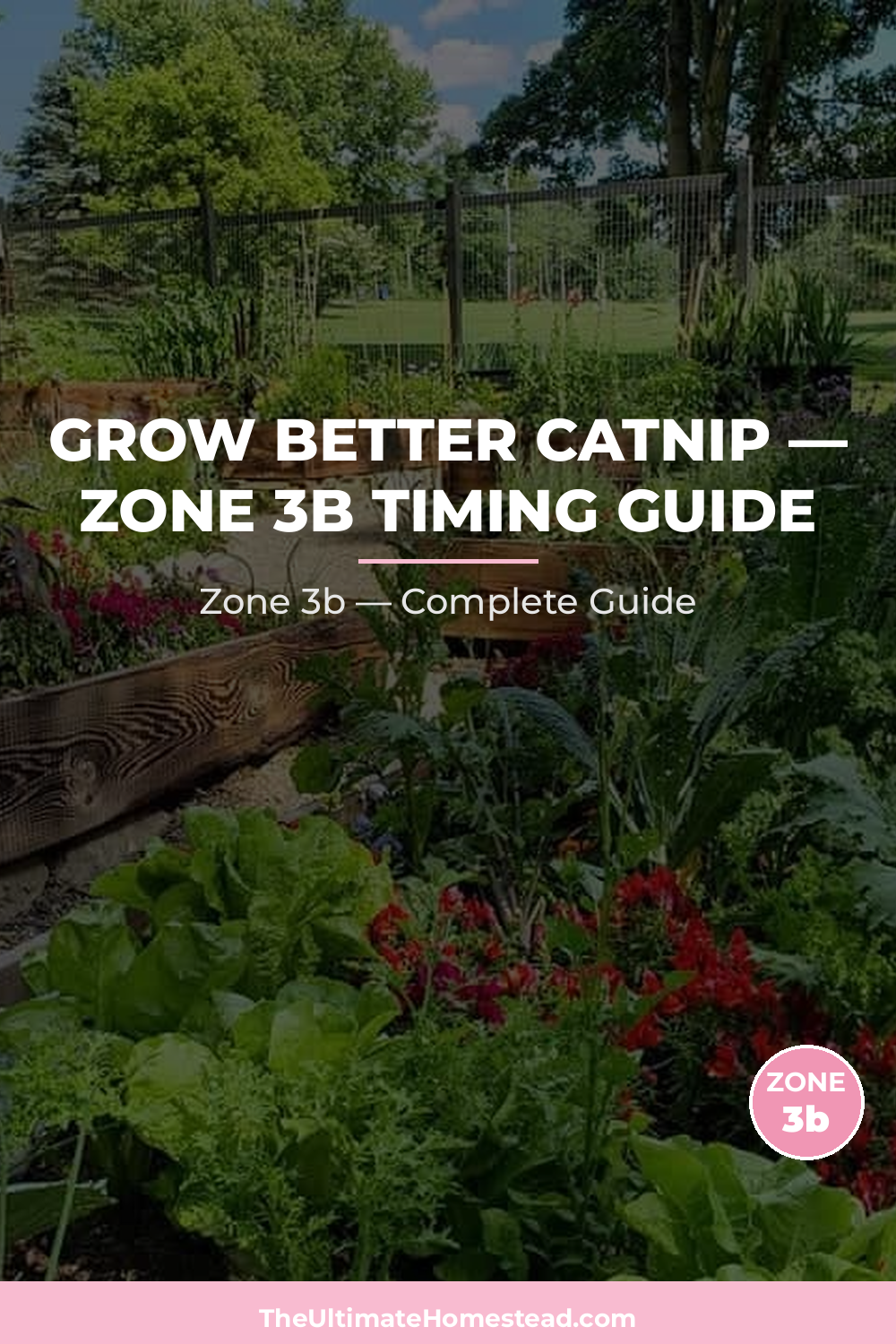 When to Plant Catnip in Zone 3b