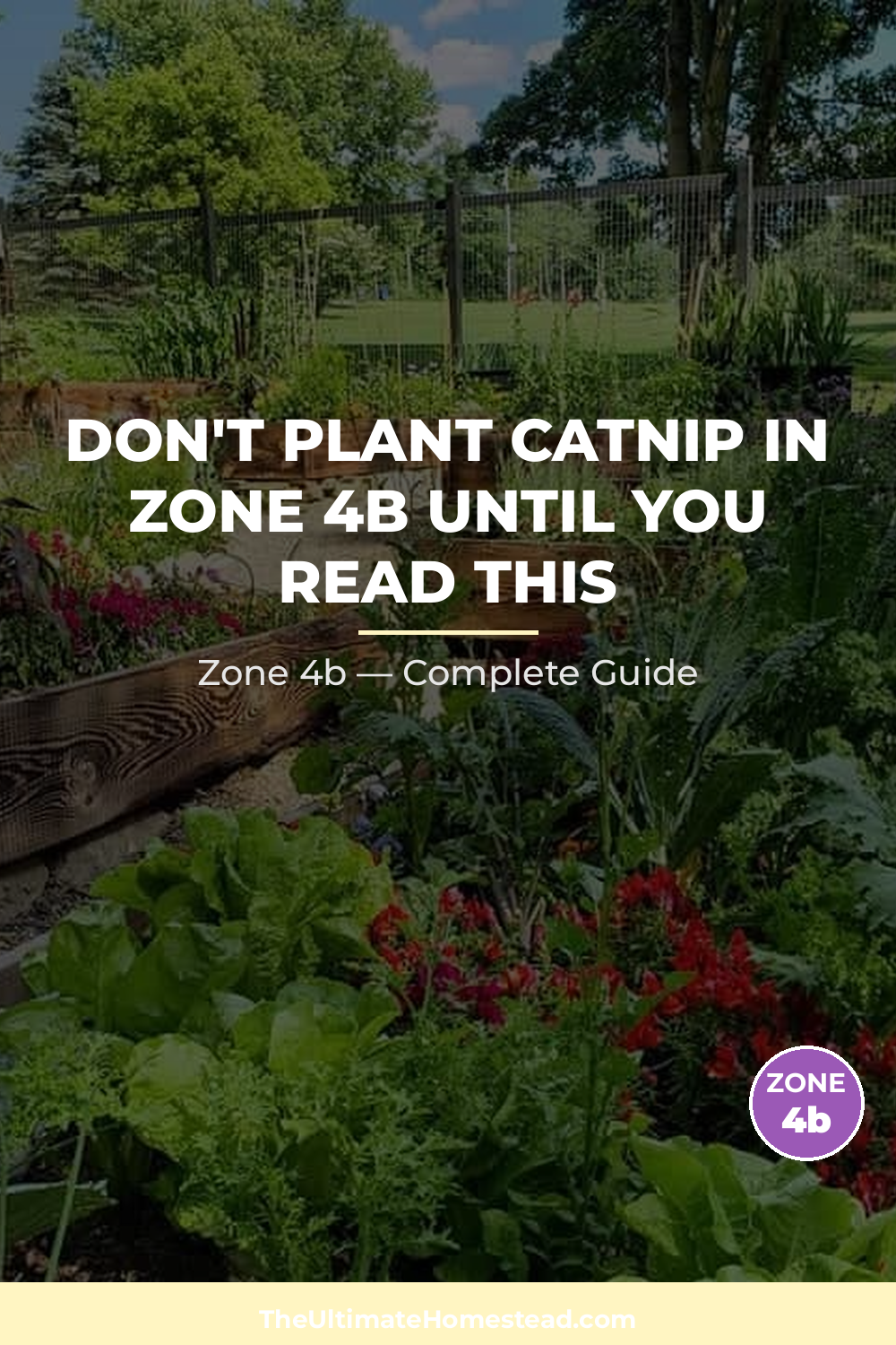 When to Plant Catnip in Zone 4b