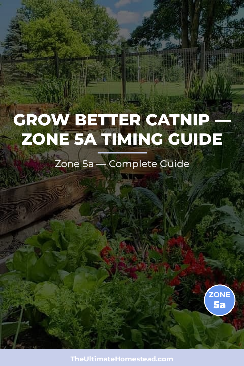 When to Plant Catnip in Zone 5a
