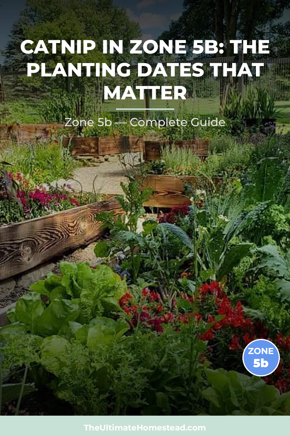 When to Plant Catnip in Zone 5b