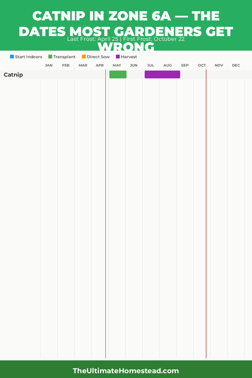 When to Plant Catnip in Zone 6a
