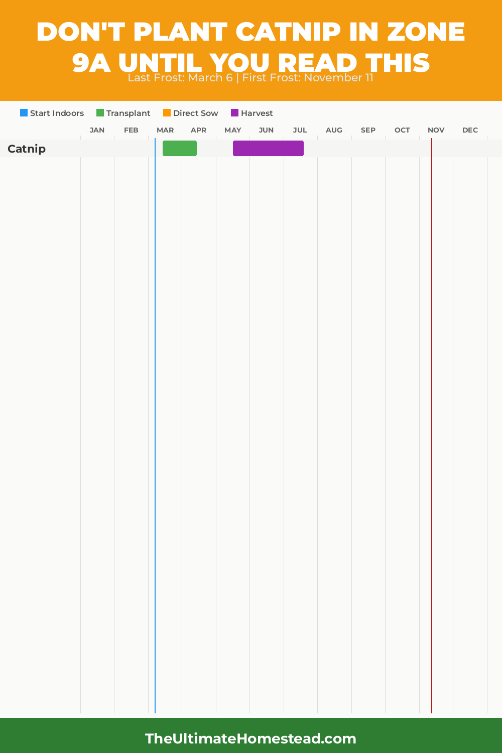When to Plant Catnip in Zone 9a