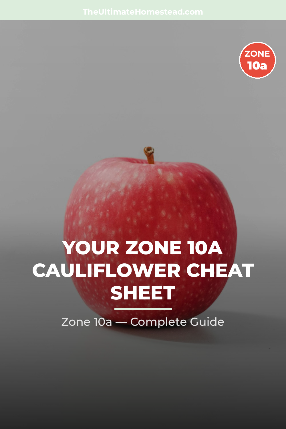 When to Plant Cauliflower in Zone 10a