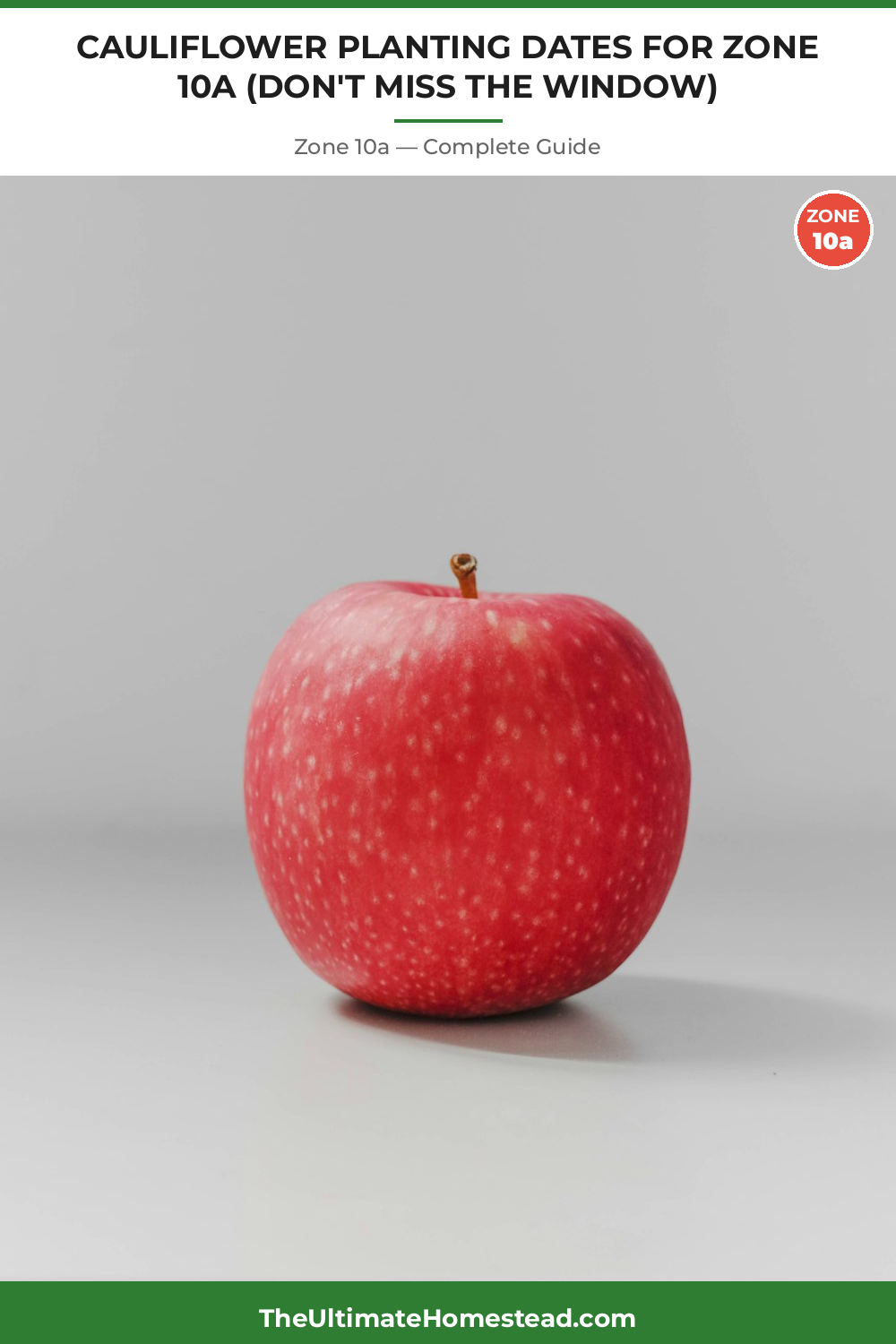 When to Plant Cauliflower in Zone 10a