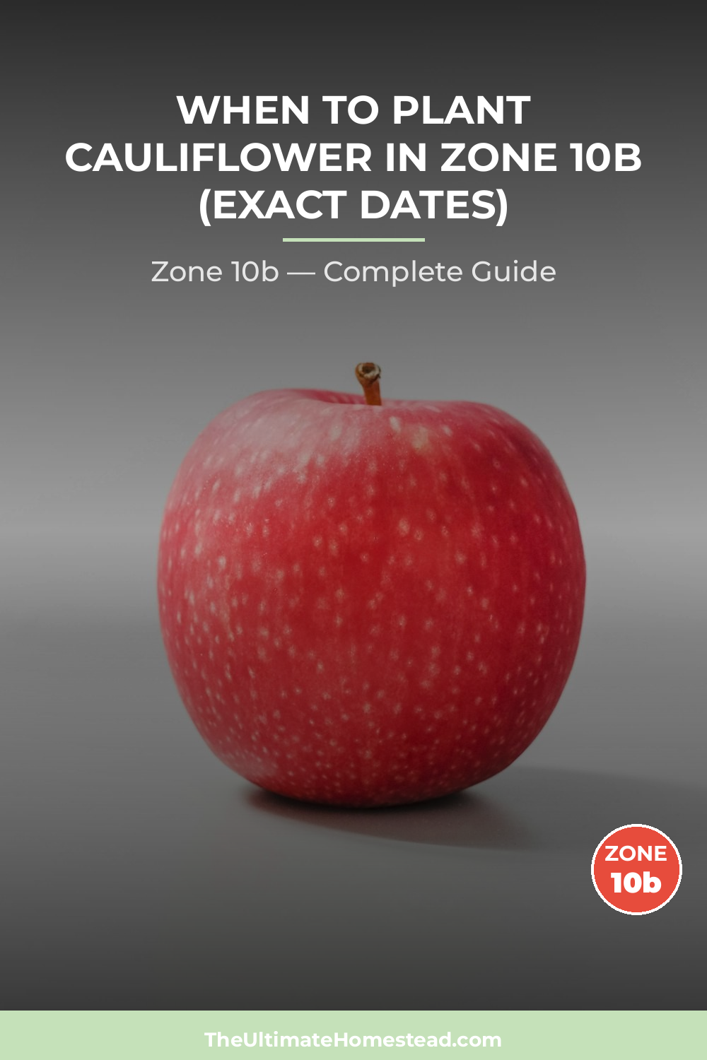 When to Plant Cauliflower in Zone 10b