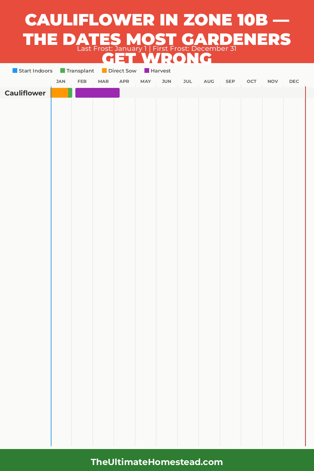 When to Plant Cauliflower in Zone 10b