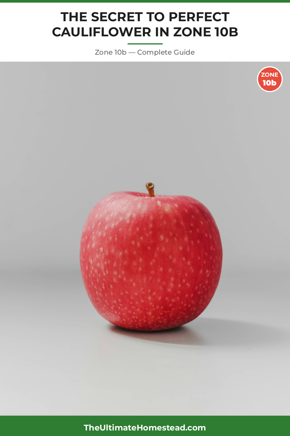 When to Plant Cauliflower in Zone 10b