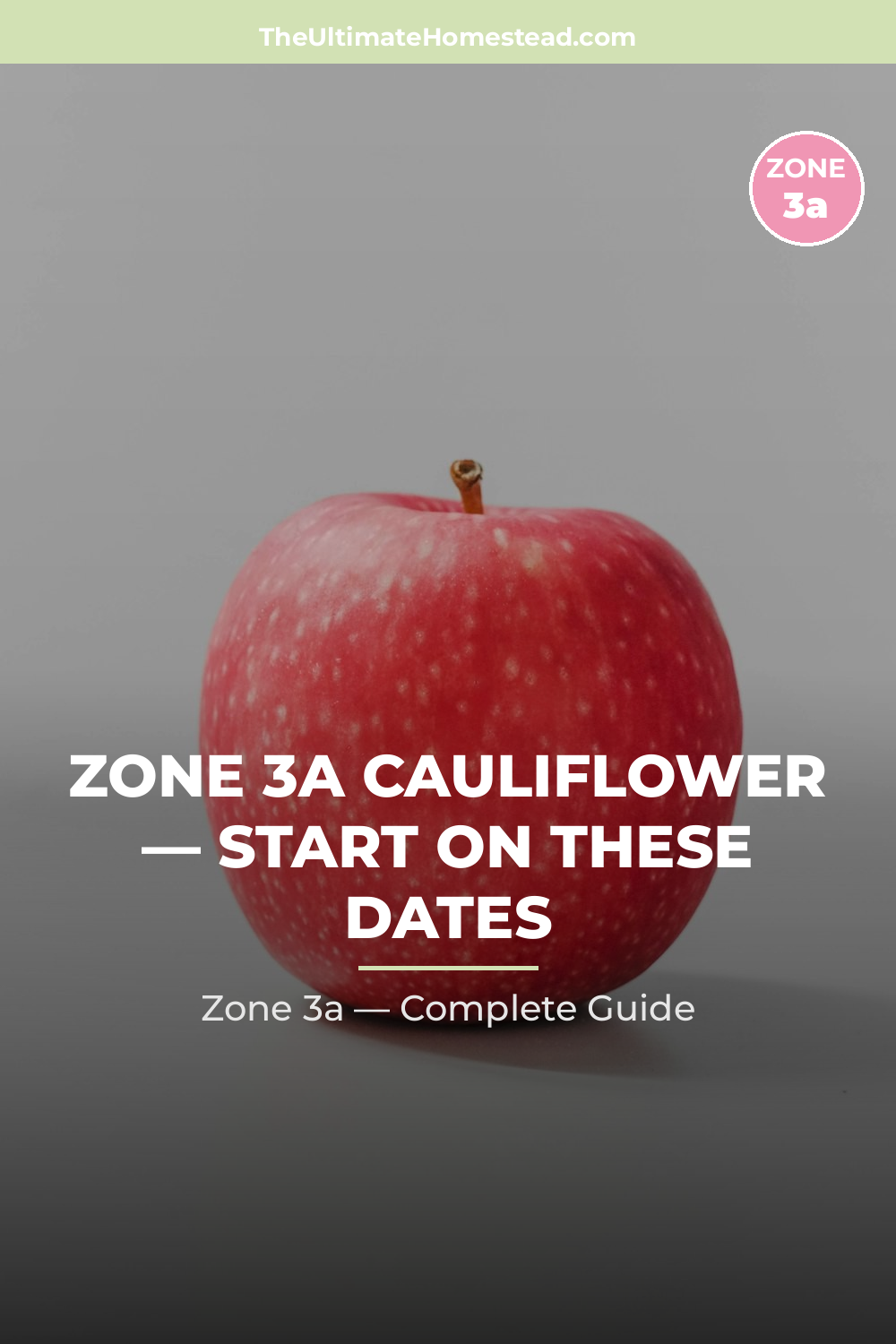 When to Plant Cauliflower in Zone 3a
