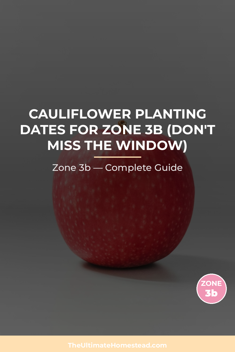When to Plant Cauliflower in Zone 3b