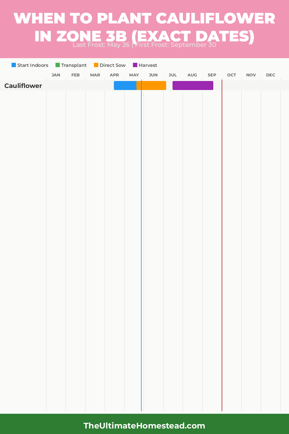 When to Plant Cauliflower in Zone 3b