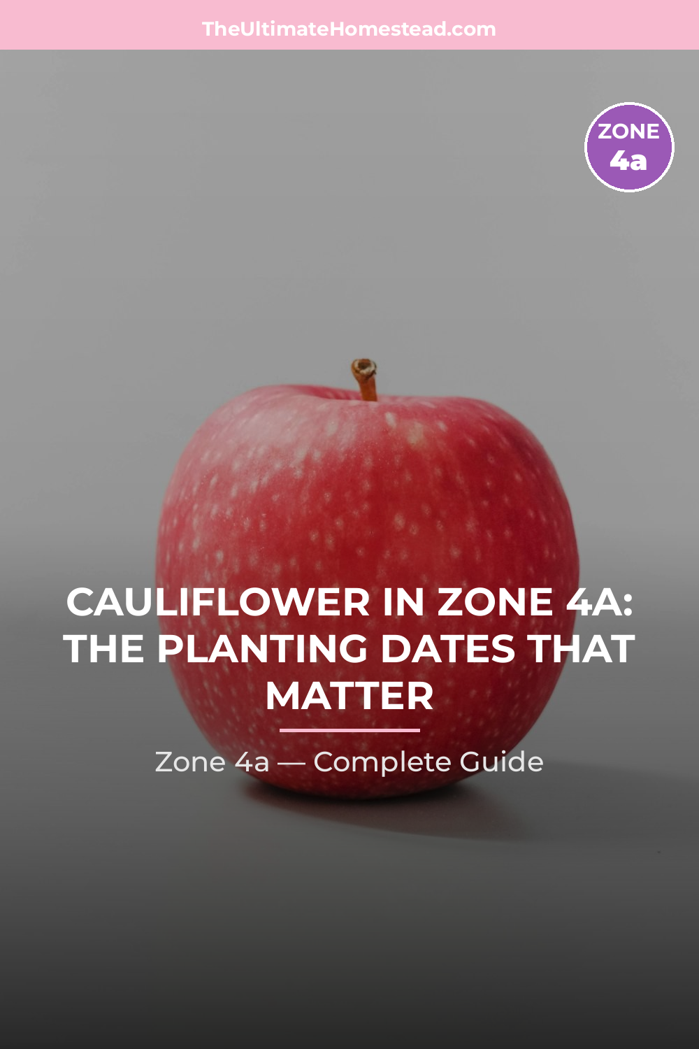 When to Plant Cauliflower in Zone 4a