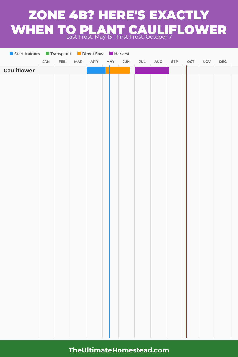 When to Plant Cauliflower in Zone 4b