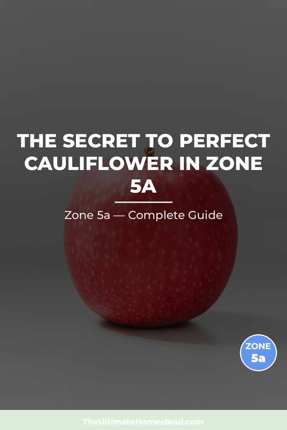 When to Plant Cauliflower in Zone 5a