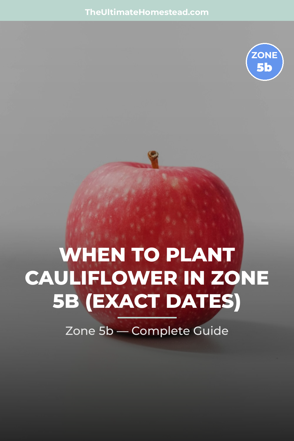 When to Plant Cauliflower in Zone 5b