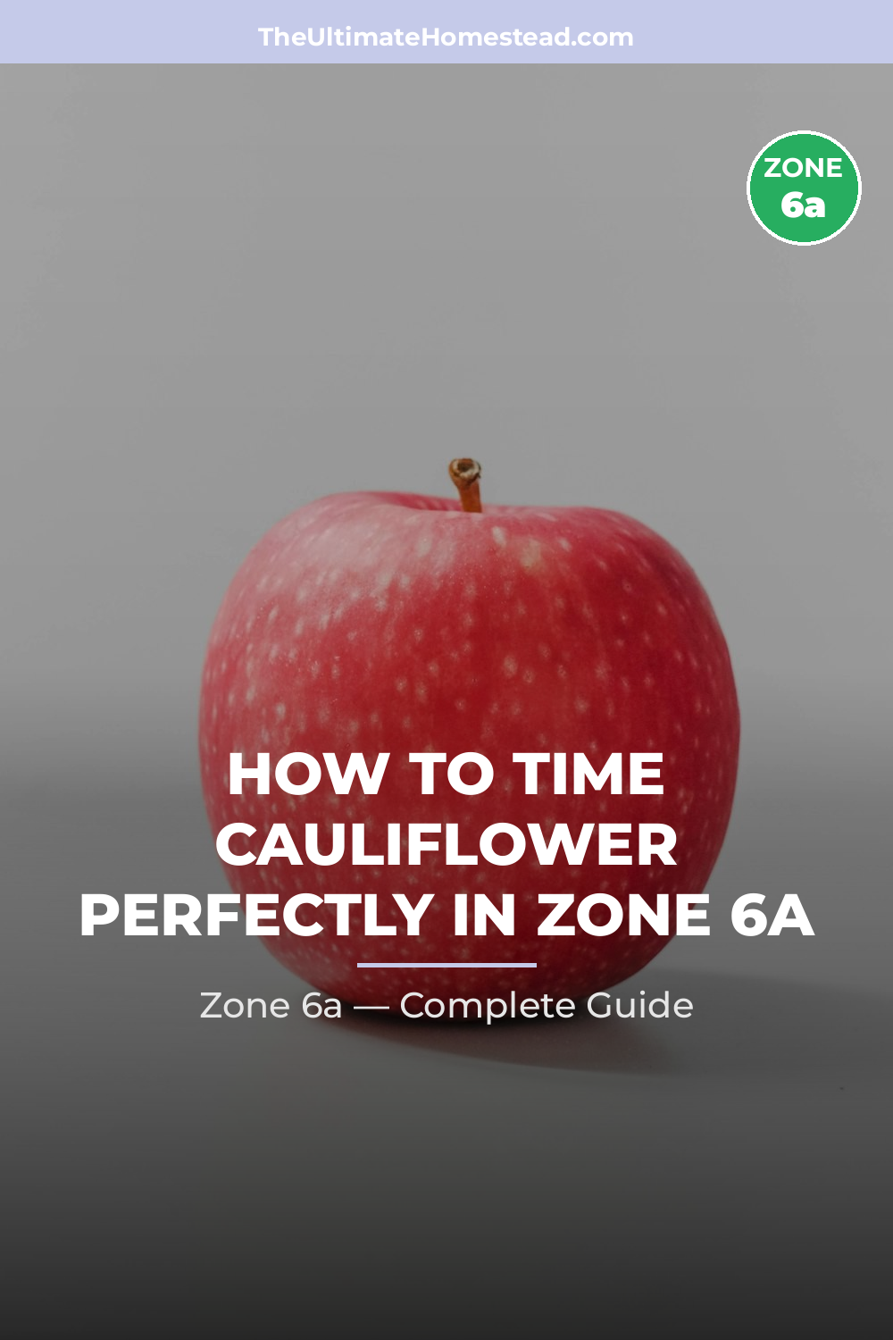 When to Plant Cauliflower in Zone 6a