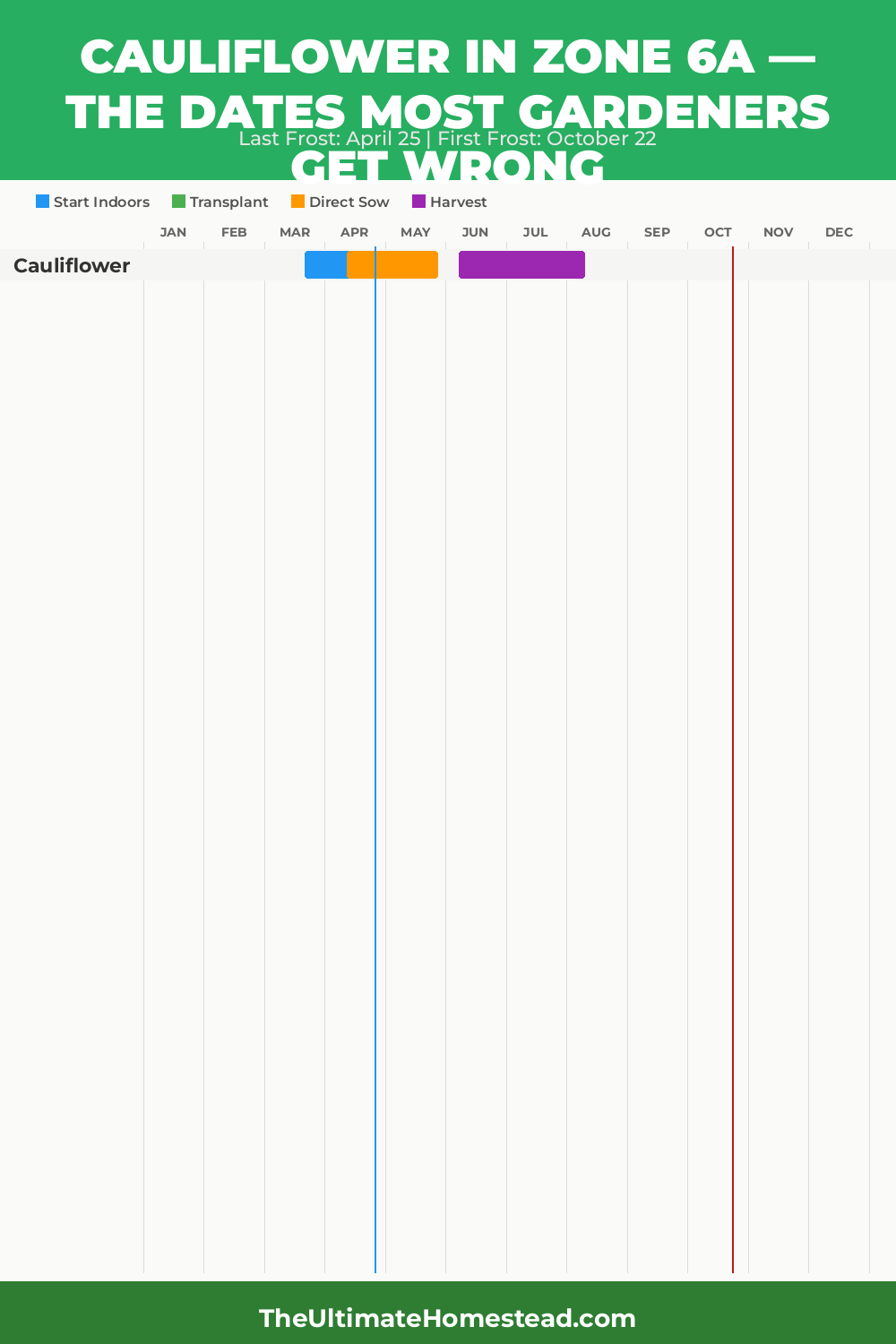 When to Plant Cauliflower in Zone 6a